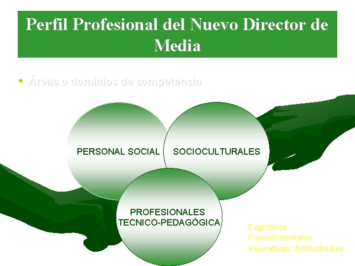 Perfil Profesional del Nuevo Director de Media • Áreas o dominios de competencia PERSONAL