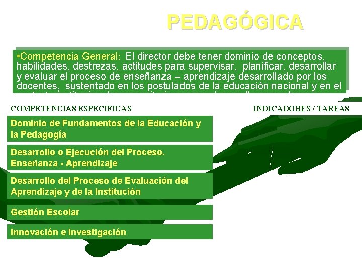 DOMINIO DE COMPETENCIA: PEDAGÓGICA • Competencia General: El director debe tener dominio de conceptos,