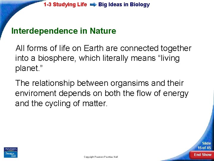 1 -3 Studying Life Big Ideas in Biology Interdependence in Nature All forms of