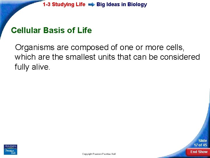 1 -3 Studying Life Big Ideas in Biology Cellular Basis of Life Organisms are