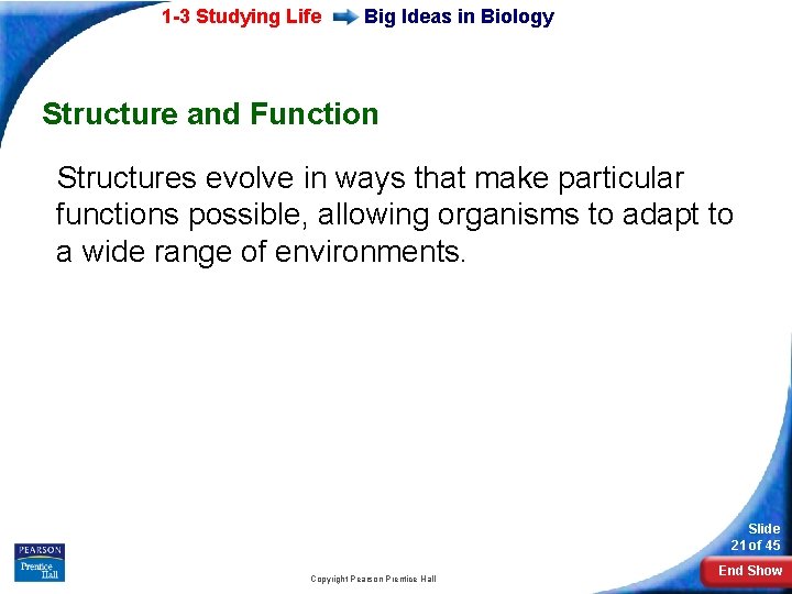 1 -3 Studying Life Big Ideas in Biology Structure and Function Structures evolve in