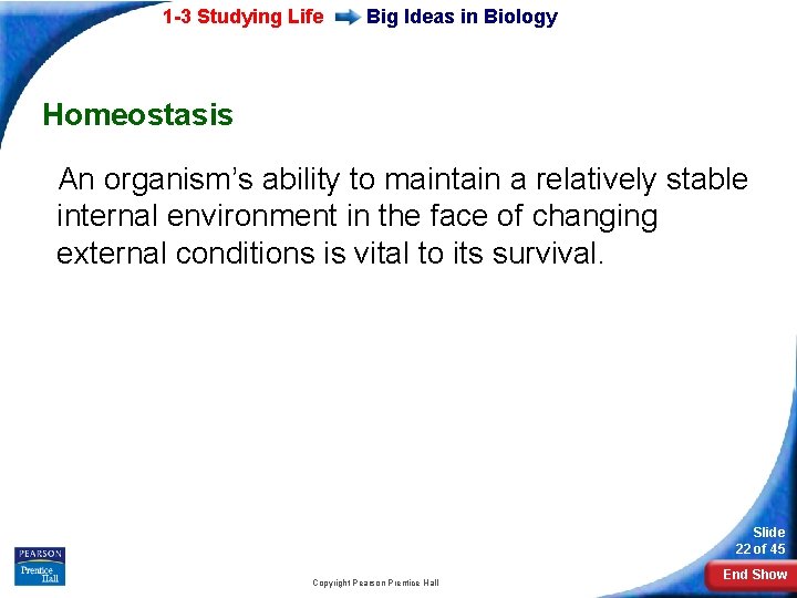 1 -3 Studying Life Big Ideas in Biology Homeostasis An organism’s ability to maintain