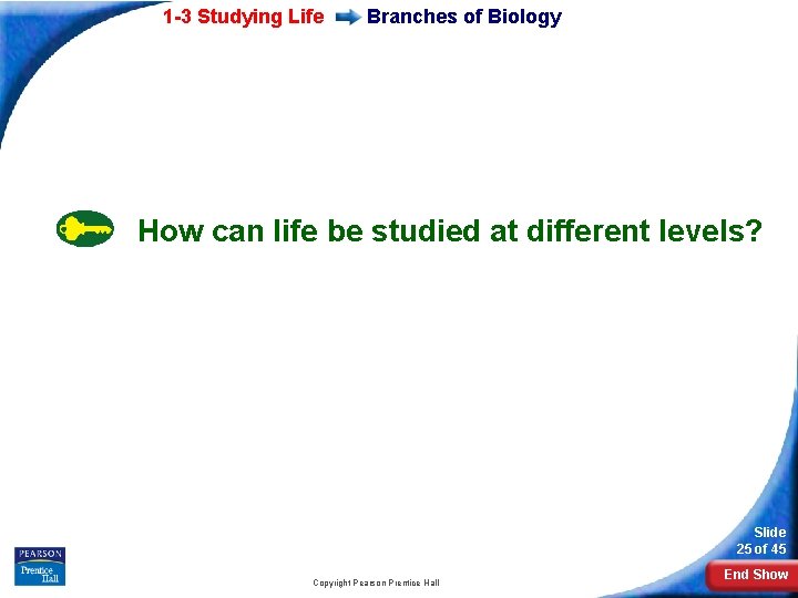 1 -3 Studying Life Branches of Biology How can life be studied at different