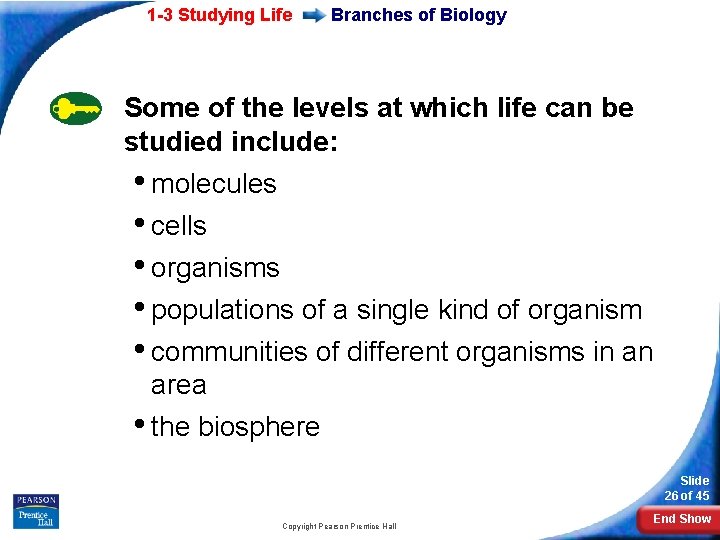 1 -3 Studying Life Branches of Biology Some of the levels at which life