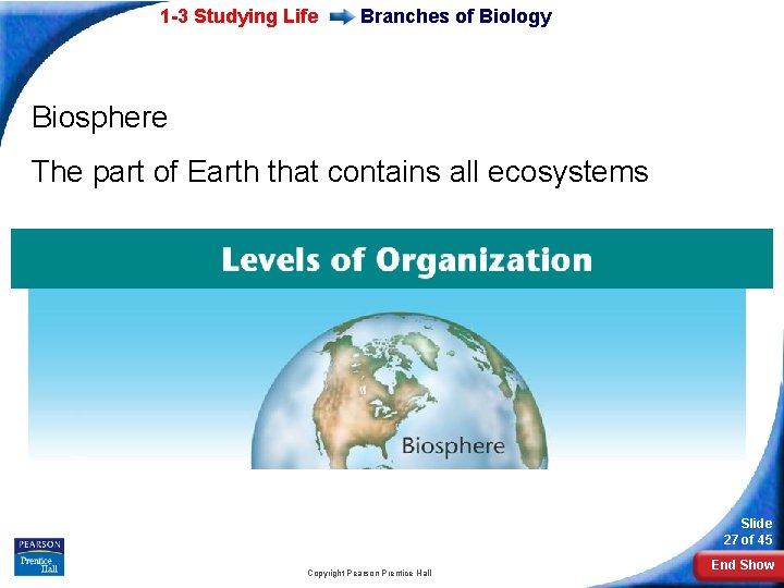 1 -3 Studying Life Branches of Biology Biosphere The part of Earth that contains