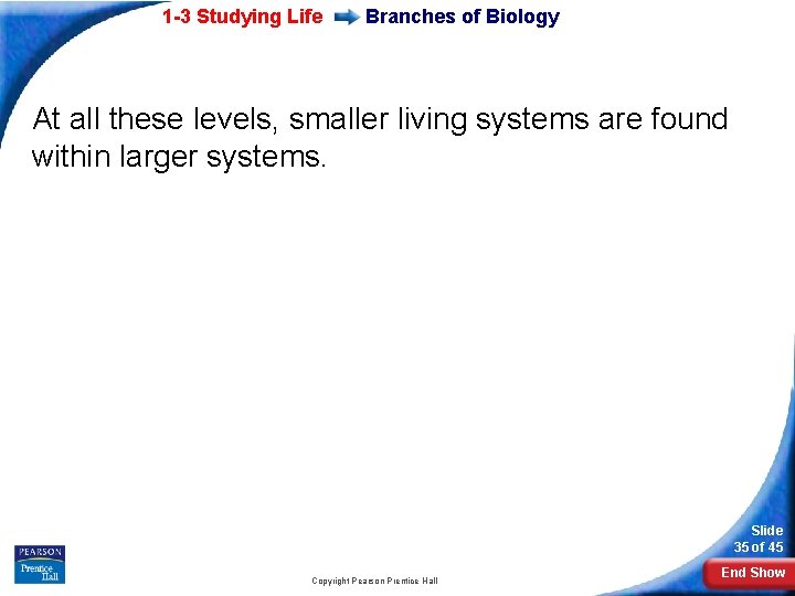 1 -3 Studying Life Branches of Biology At all these levels, smaller living systems