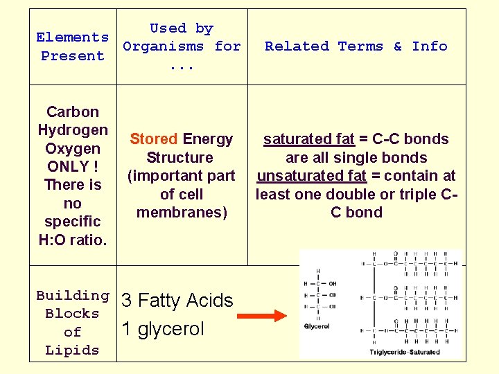 Used by Elements Organisms for Present. . . Related Terms & Info Carbon Hydrogen