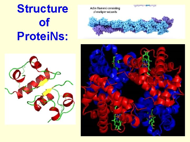 Structure of Protei. Ns: 