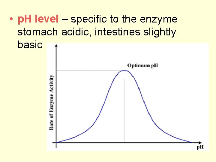 • p. H level – specific to the enzyme stomach acidic, intestines slightly