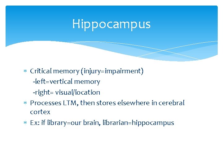 Hippocampus Critical memory (injury=impairment) -left=vertical memory -right= visual/location Processes LTM, then stores elsewhere in