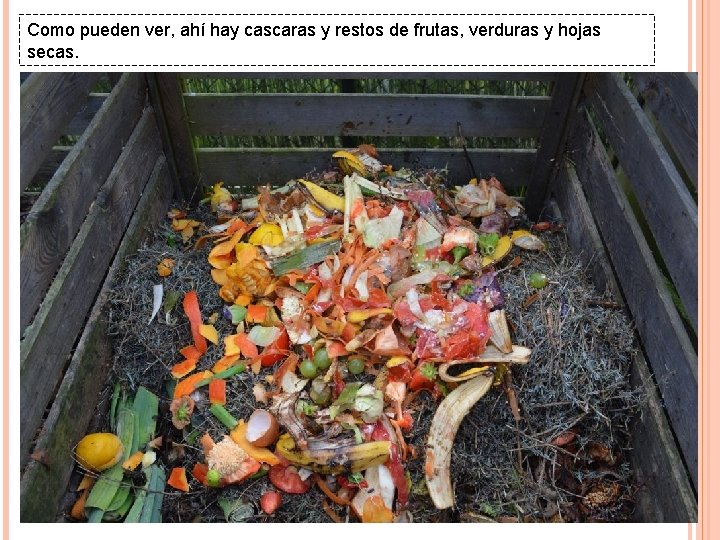 Como pueden ver, ahí hay cascaras y restos de frutas, verduras y hojas secas.