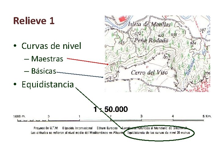 Relieve 1 • Curvas de nivel – Maestras – Básicas • Equidistancia 