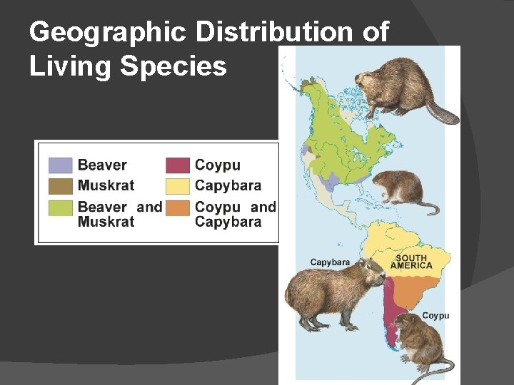 Geographic Distribution of Living Species 