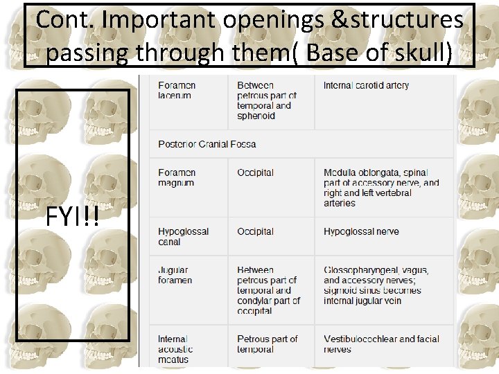 Cont. Important openings &structures passing through them( Base of skull) FYI!! 