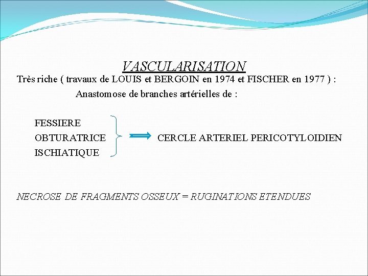 VASCULARISATION Très riche ( travaux de LOUIS et BERGOIN en 1974 et FISCHER en