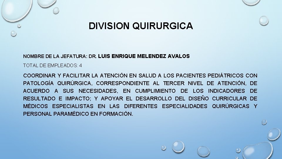 DIVISION QUIRURGICA NOMBRE DE LA JEFATURA: DR. LUIS ENRIQUE MELENDEZ AVALOS TOTAL DE EMPLEADOS: