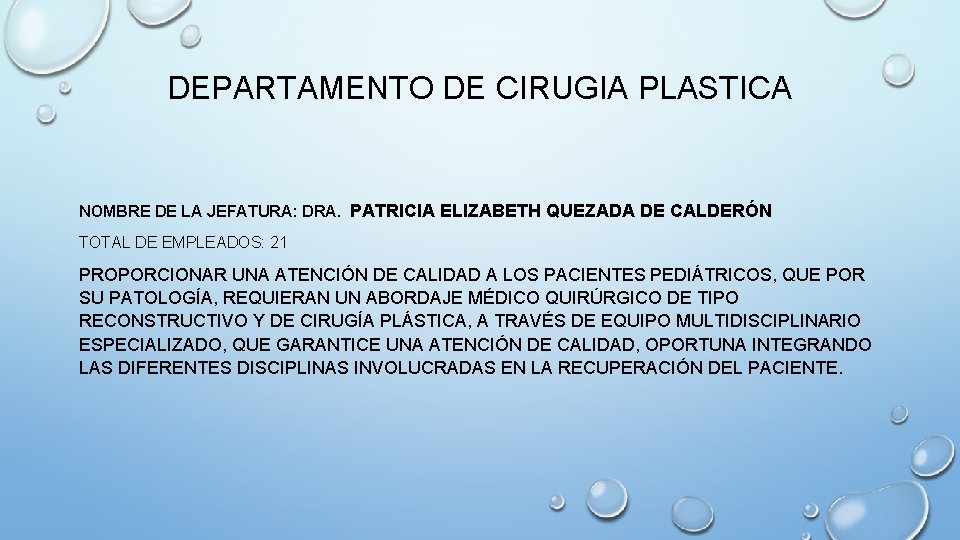 DEPARTAMENTO DE CIRUGIA PLASTICA NOMBRE DE LA JEFATURA: DRA. PATRICIA ELIZABETH QUEZADA DE CALDERÓN