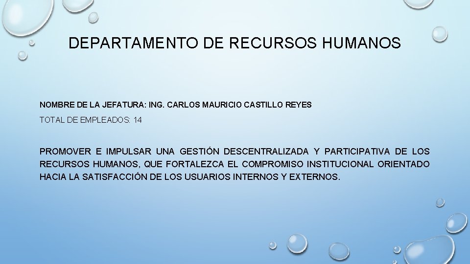 DEPARTAMENTO DE RECURSOS HUMANOS NOMBRE DE LA JEFATURA: ING. CARLOS MAURICIO CASTILLO REYES TOTAL