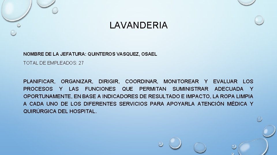 LAVANDERIA NOMBRE DE LA JEFATURA: QUINTEROS VASQUEZ, OSAEL TOTAL DE EMPLEADOS: 27 PLANIFICAR, ORGANIZAR,