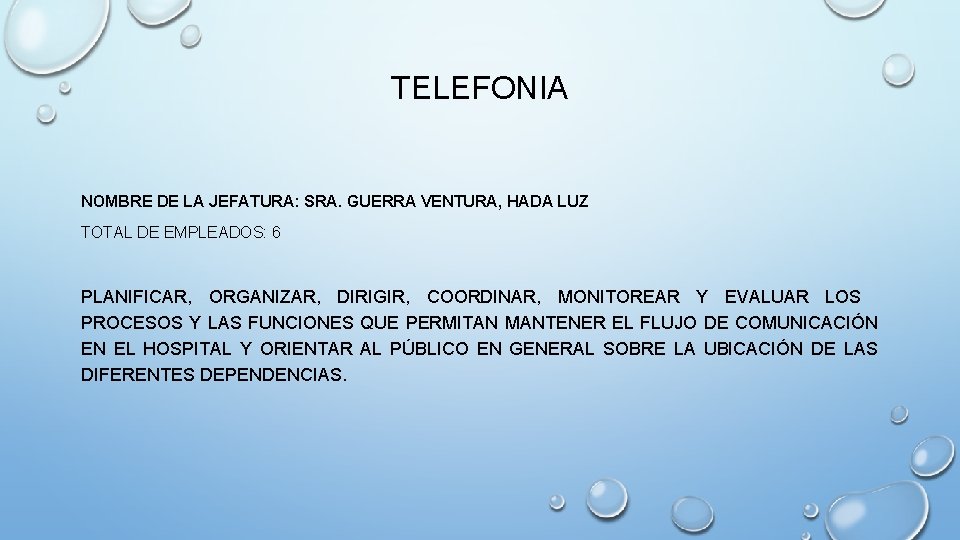 TELEFONIA NOMBRE DE LA JEFATURA: SRA. GUERRA VENTURA, HADA LUZ TOTAL DE EMPLEADOS: 6