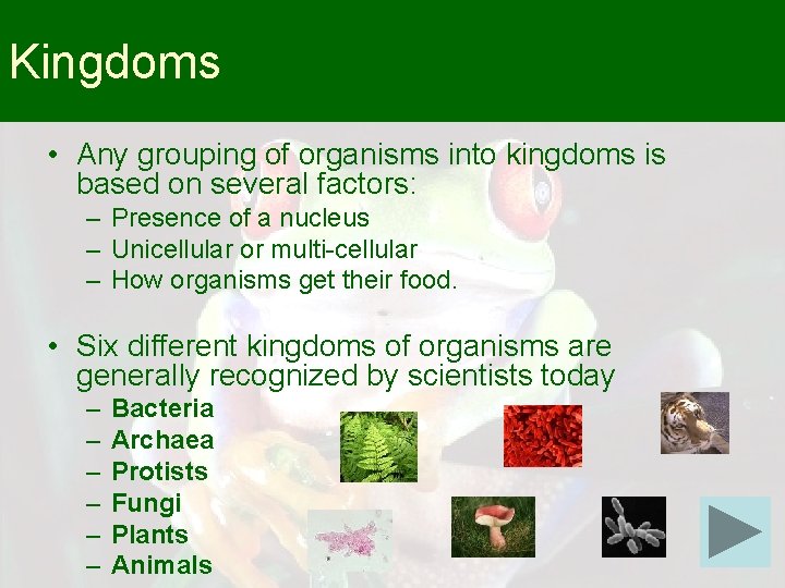 Kingdoms • Any grouping of organisms into kingdoms is based on several factors: –