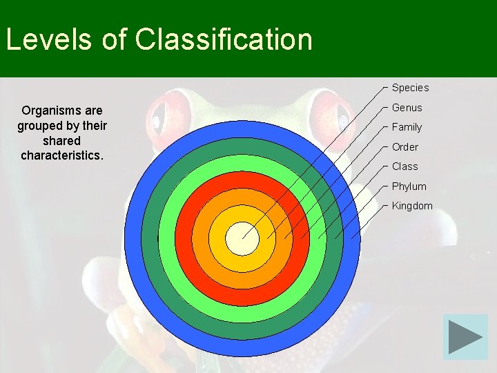 Levels of Classification Species Organisms are grouped by their shared characteristics. Genus Family Order