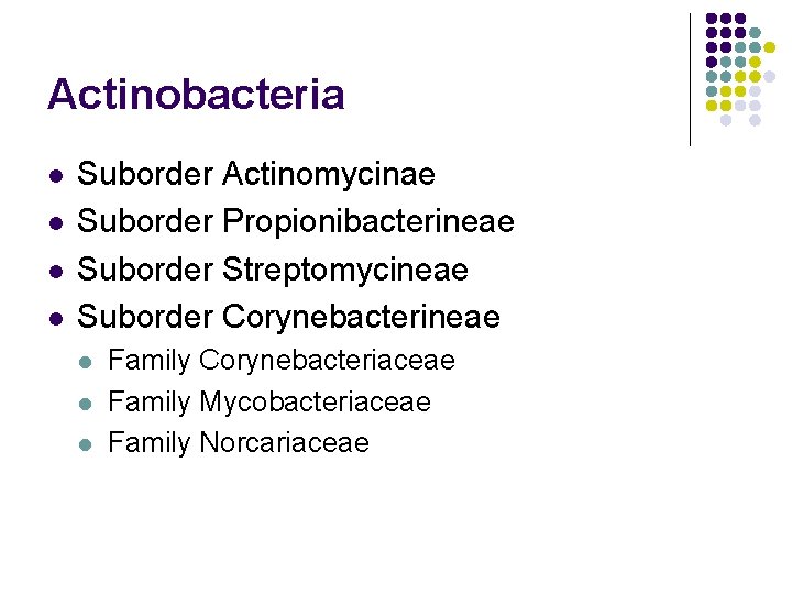Actinobacteria l l Suborder Actinomycinae Suborder Propionibacterineae Suborder Streptomycineae Suborder Corynebacterineae l l l