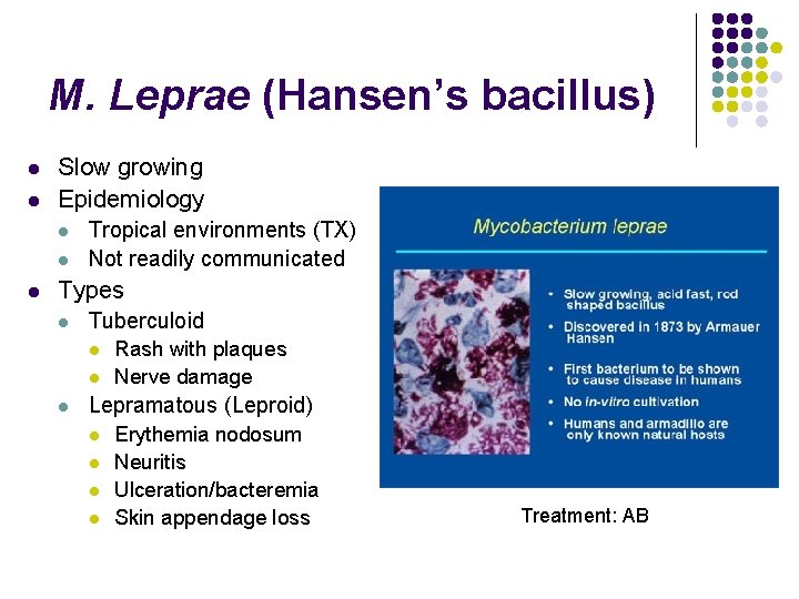 M. Leprae (Hansen’s bacillus) l l Slow growing Epidemiology l l l Tropical environments