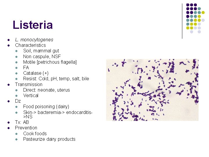 Listeria l l l L. monocytogenes Characteristics l Soil, mammal gut l Non caspule,