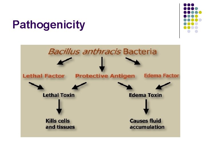Pathogenicity 