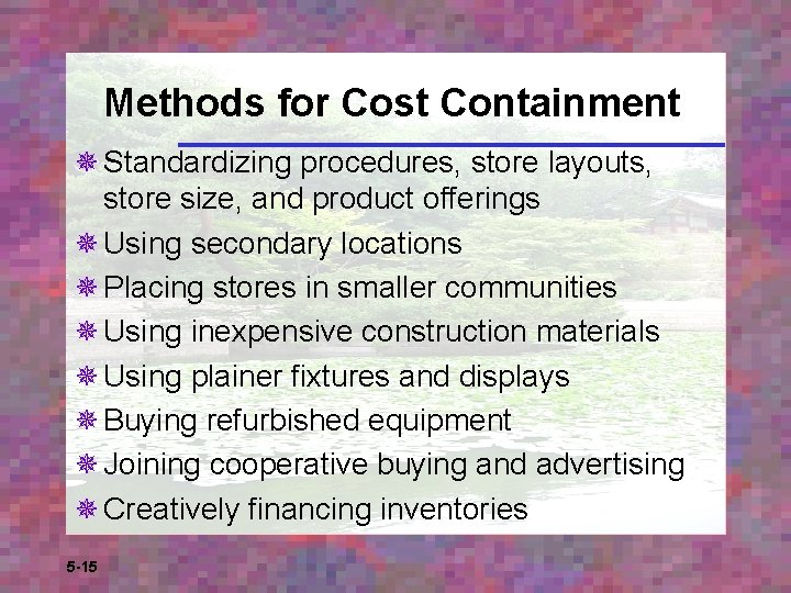 Methods for Cost Containment ¯ Standardizing procedures, store layouts, store size, and product offerings