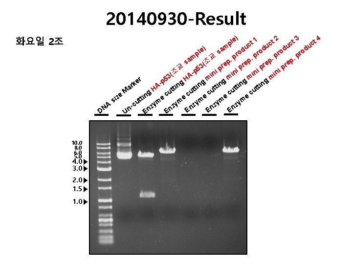 20140930 -Result 4 2 3 e) t 1 ct ct ct pl c u