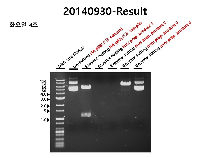 20140930 -Result 4 2 3 e) t 1 ct ct ct pl c u