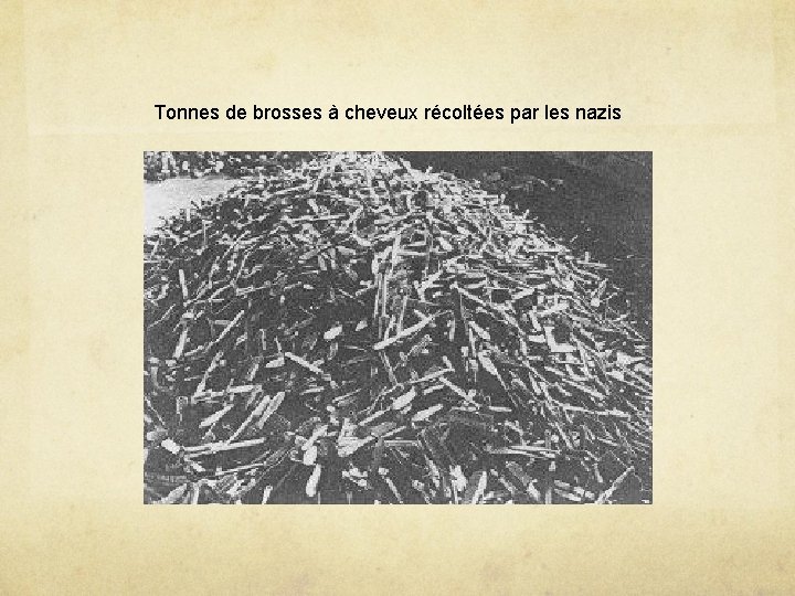 Tonnes de brosses à cheveux récoltées par les nazis 