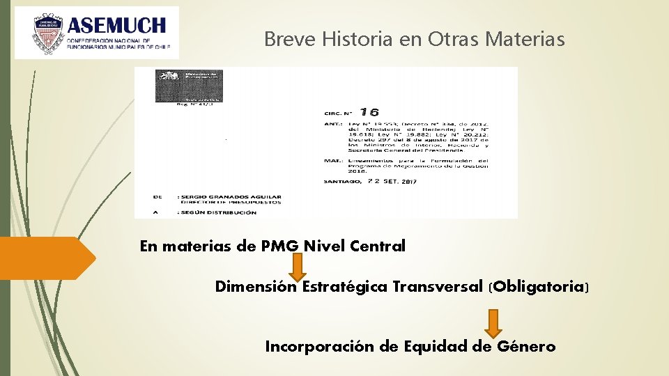 Breve Historia en Otras Materias En materias de PMG Nivel Central Dimensión Estratégica Transversal