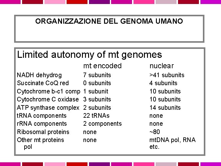 ORGANIZZAZIONE DEL GENOMA UMANO Limited autonomy of mt genomes NADH dehydrog Succinate Co. Q