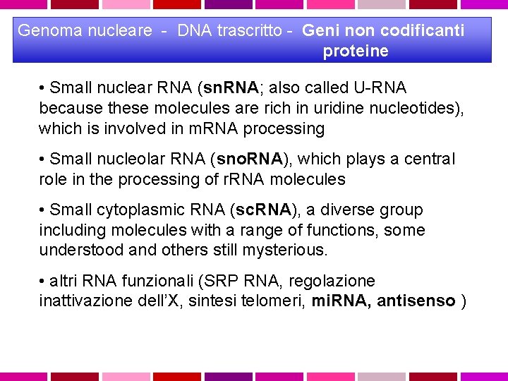 Genoma nucleare - DNA trascritto - Geni non codificanti proteine • Small nuclear RNA