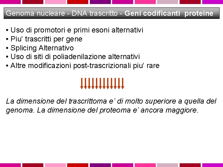 Genoma nucleare - DNA trascritto - Geni codificanti proteine • Uso di promotori e