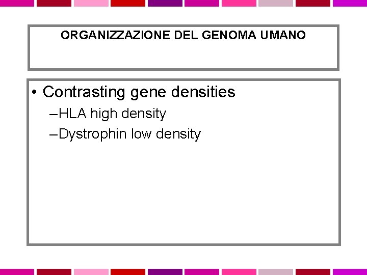 ORGANIZZAZIONE DEL GENOMA UMANO • Contrasting gene densities – HLA high density – Dystrophin