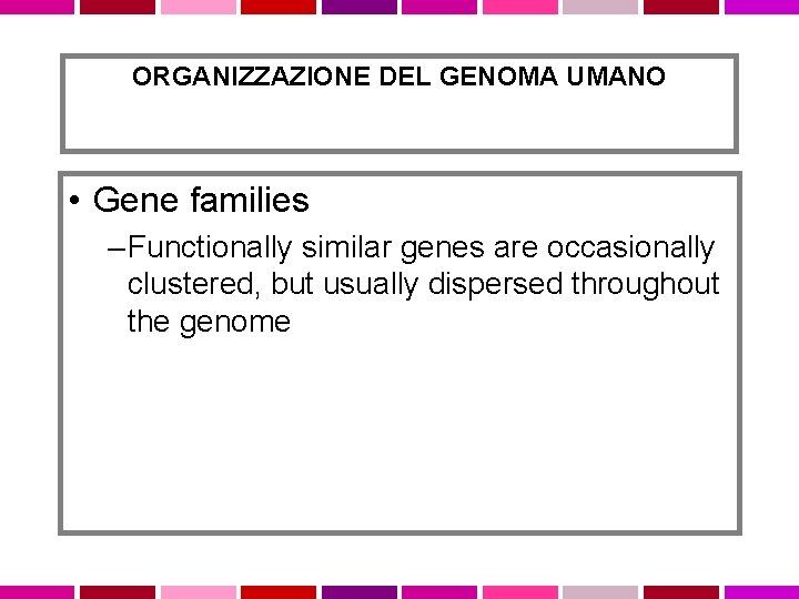 ORGANIZZAZIONE DEL GENOMA UMANO • Gene families – Functionally similar genes are occasionally clustered,