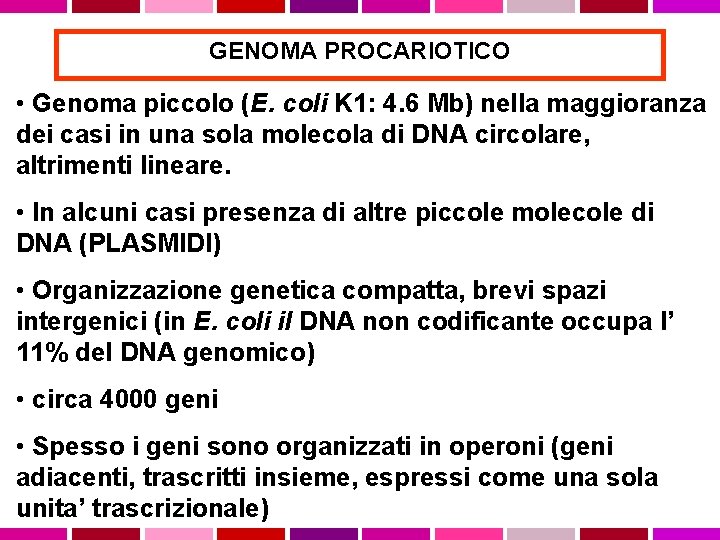 GENOMA PROCARIOTICO • Genoma piccolo (E. coli K 1: 4. 6 Mb) nella maggioranza