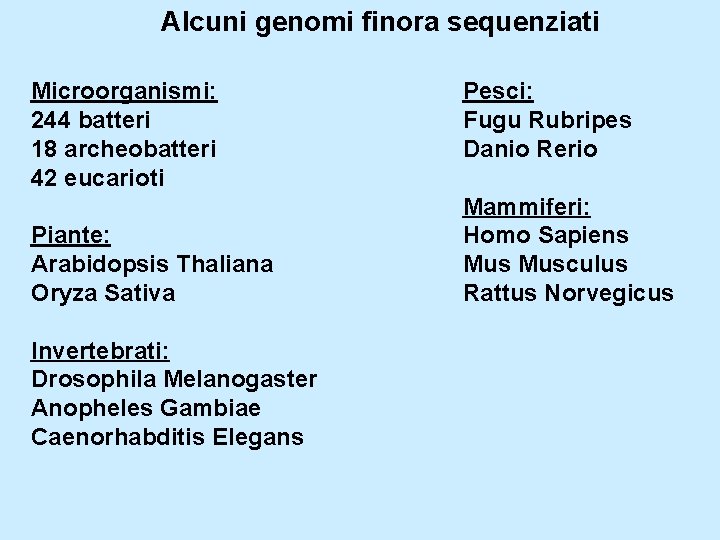 Alcuni genomi finora sequenziati Microorganismi: 244 batteri 18 archeobatteri 42 eucarioti Piante: Arabidopsis Thaliana