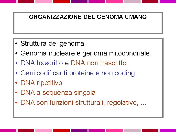 ORGANIZZAZIONE DEL GENOMA UMANO • • Struttura del genoma Genoma nucleare e genoma mitocondriale