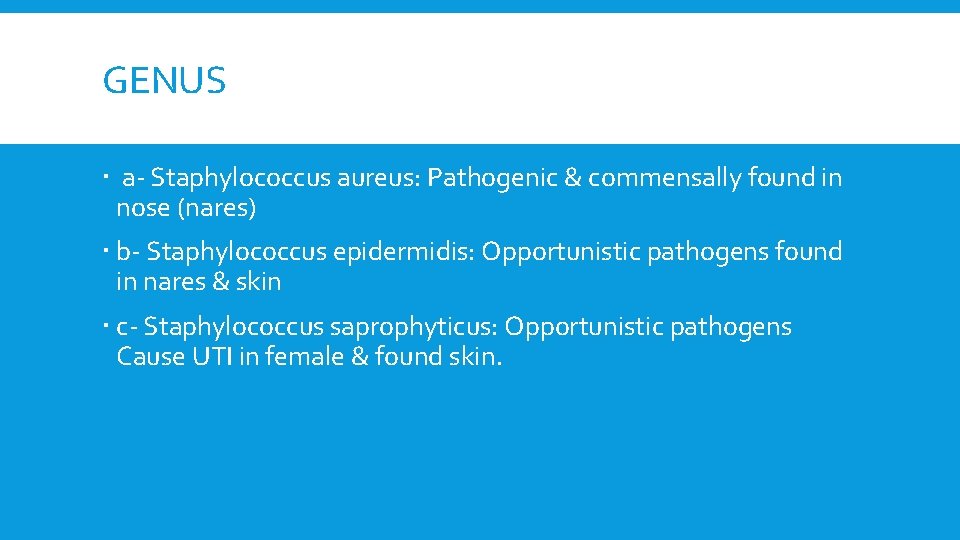 GENUS a- Staphylococcus aureus: Pathogenic & commensally found in nose (nares) b- Staphylococcus epidermidis: