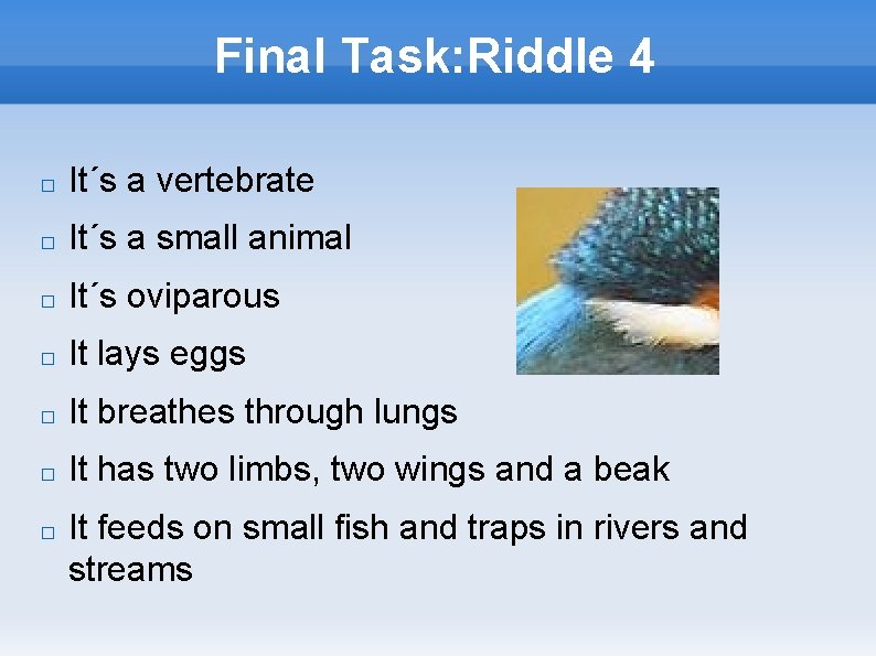 Final Task: Riddle 4 � It´s a vertebrate � It´s a small animal �