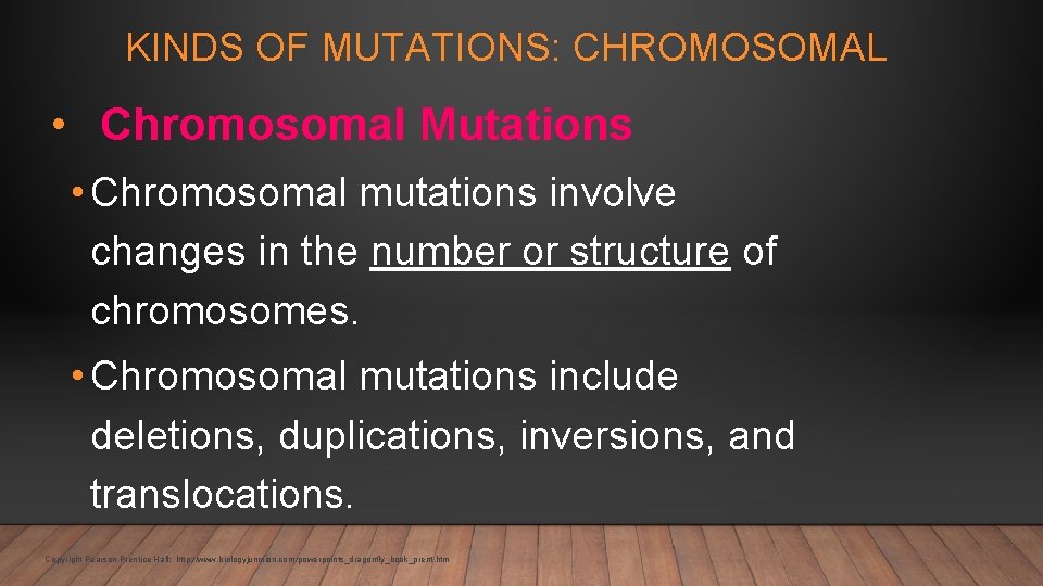 KINDS OF MUTATIONS: CHROMOSOMAL • Chromosomal Mutations • Chromosomal mutations involve changes in the
