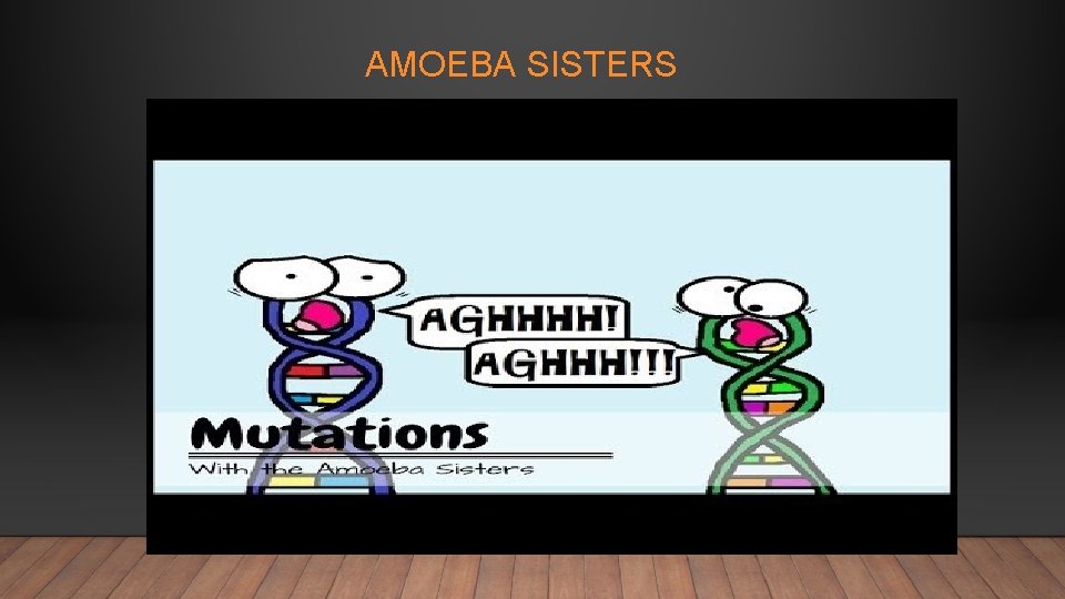 AMOEBA SISTERS 