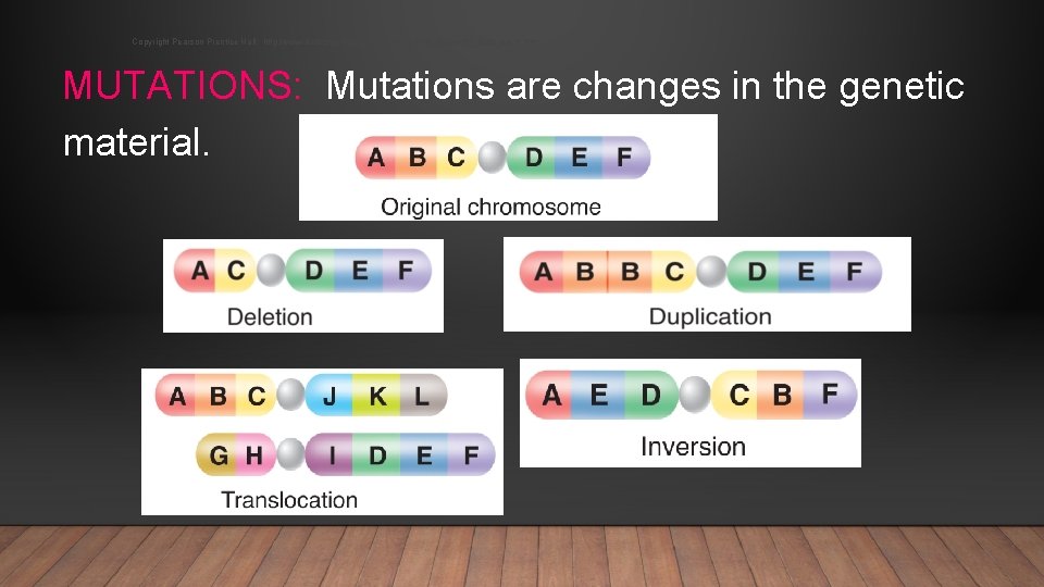 Copyright Pearson Prentice Hall: http: //www. biologyjunction. com/powerpoints_dragonfly_book_prent. htm MUTATIONS: Mutations are changes in