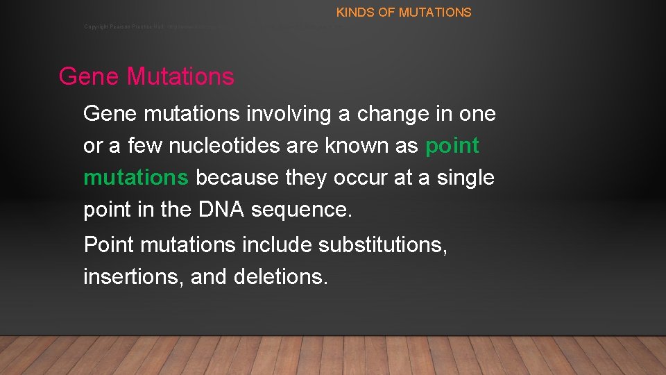 KINDS OF MUTATIONS Copyright Pearson Prentice Hall: http: //www. biologyjunction. com/powerpoints_dragonfly_book_prent. htm Gene Mutations