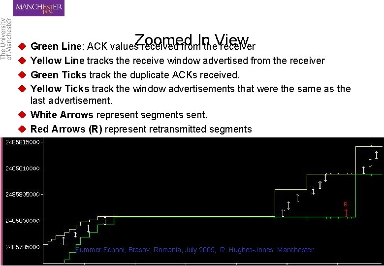 u u Zoomed In View Green Line: ACK values received from the receiver Yellow